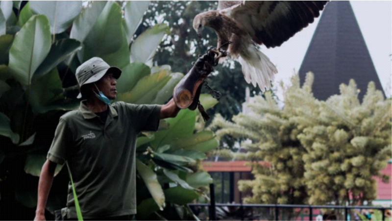 5.Lembang Park Zoo